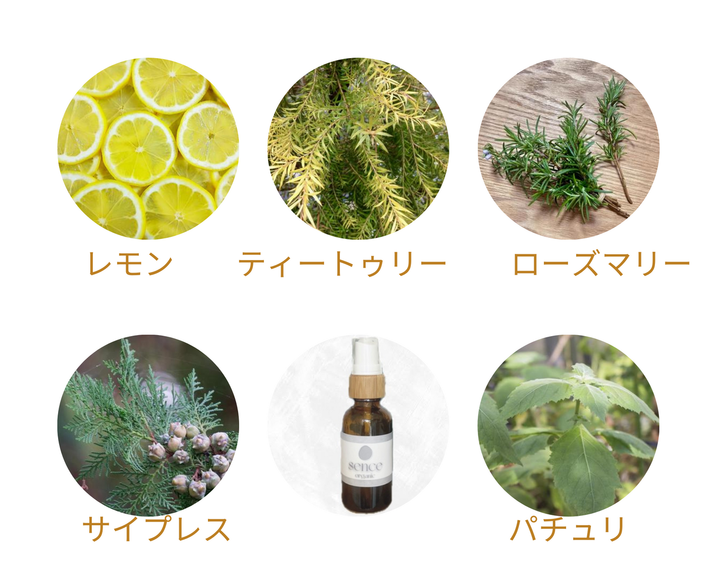 aroma×flower［refreshing］